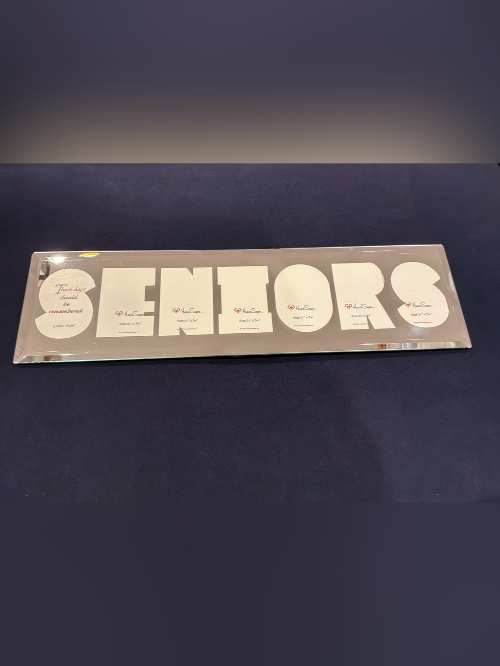 SENIORS Mirrored Picture Frame- Vintage 2005 Heart Steps Inc.